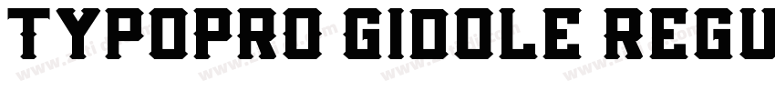 TypoPRO Gidole Regul字体转换
